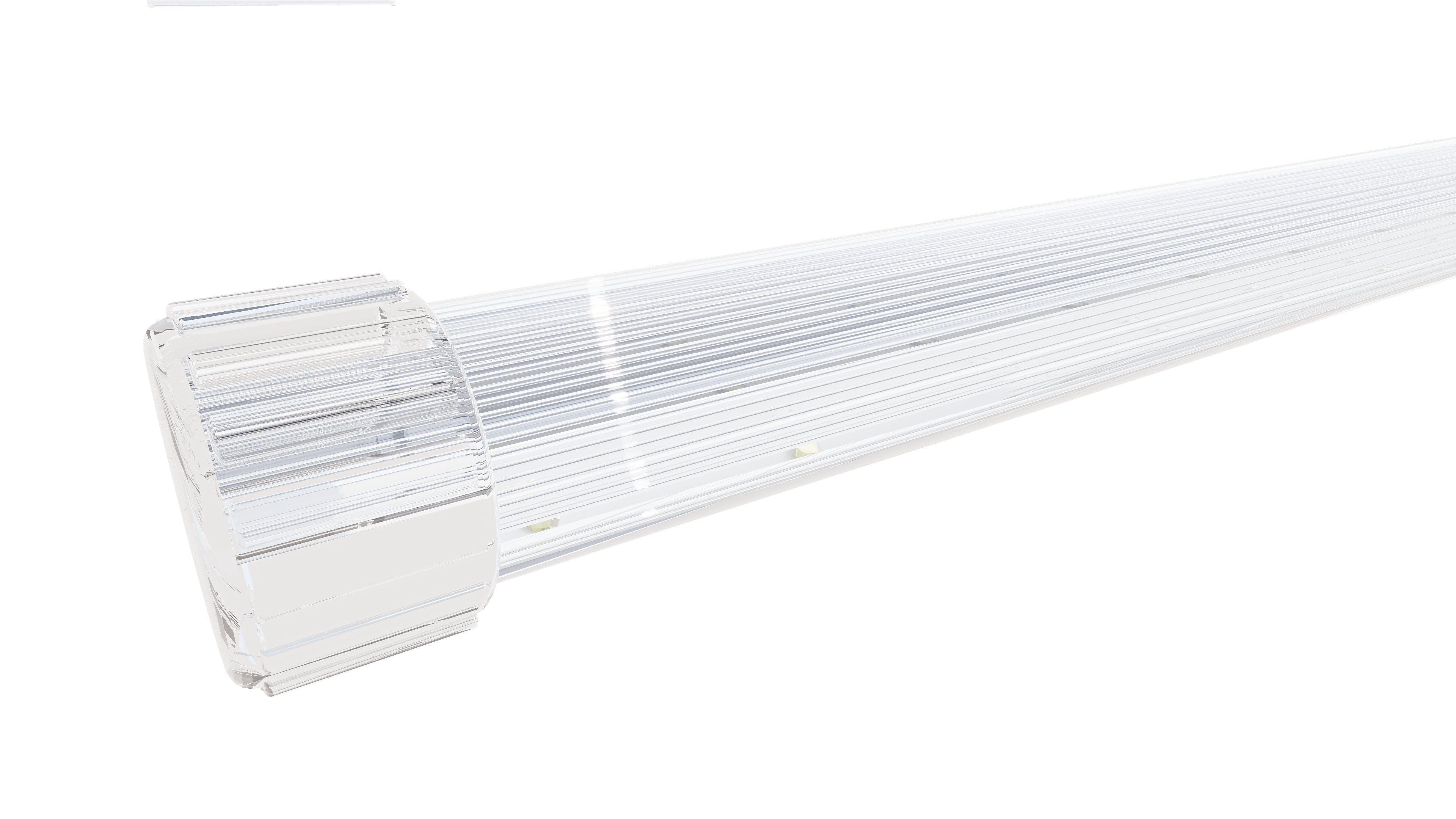 D-ARCHILINE TUBE 25 250